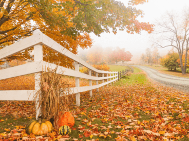 white wood fence on a fall day