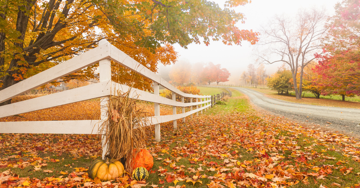 white wood fence on a fall day