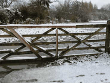 wood farm gate on a winter day