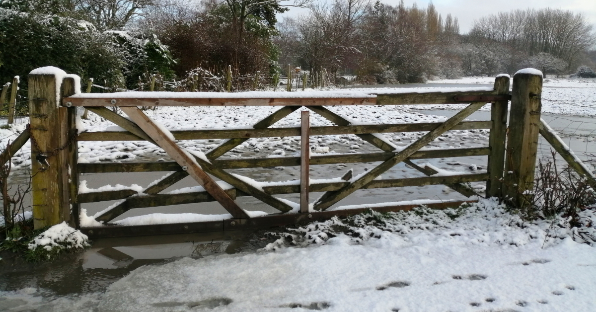 wood farm gate on a winter day